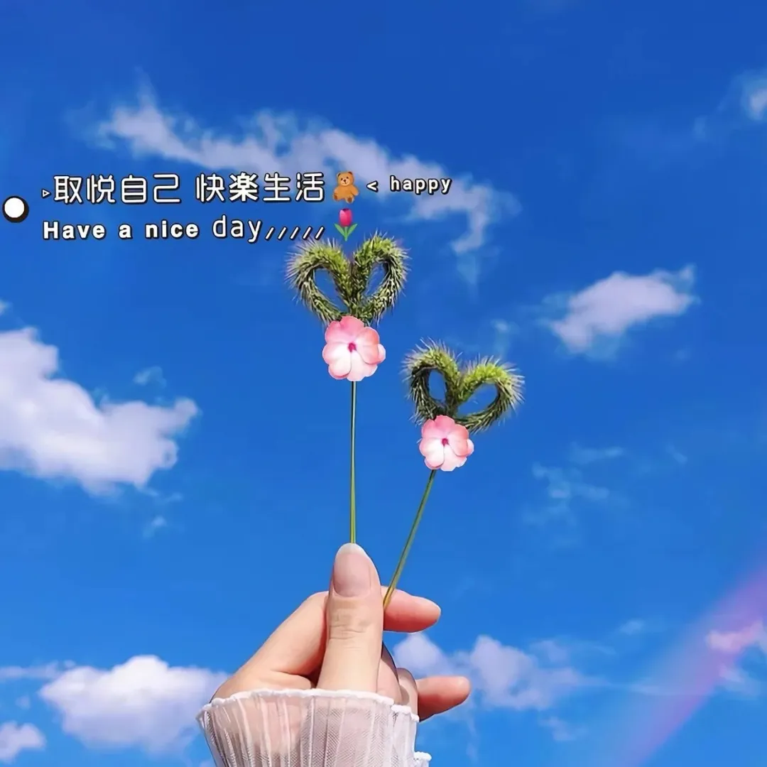 宝,你的显眼包文案2.0来啦