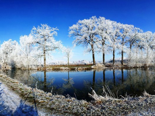 “朋友圈封神短句”